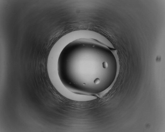 X0000098080720200804251513