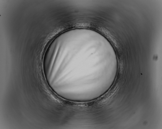 X0000098080721200804251512