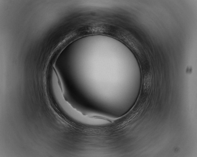 X0000098080722200804251512