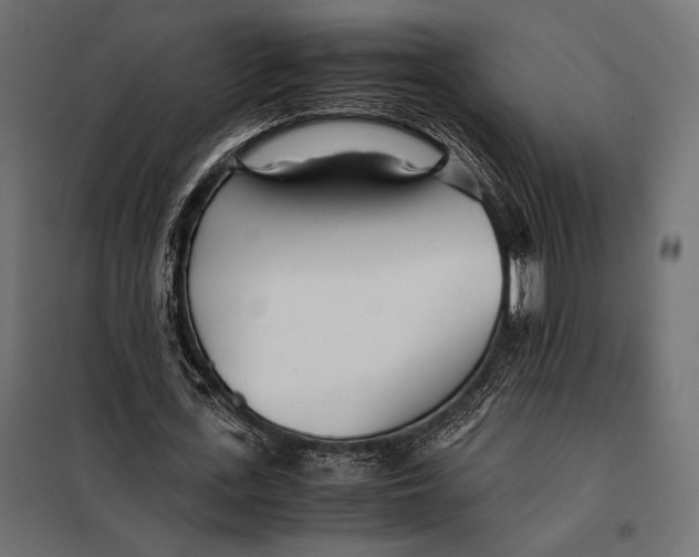 X0000098080723200804251512