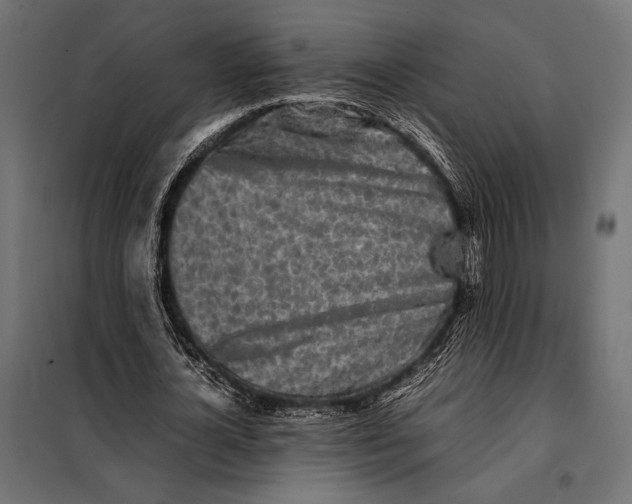 X0000098080724200804251512