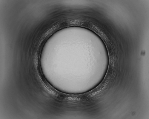 X0000098080725200804251512