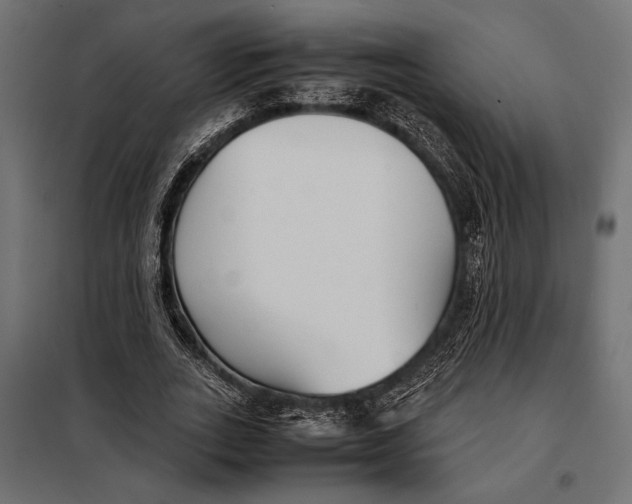 X0000098080727200804251512