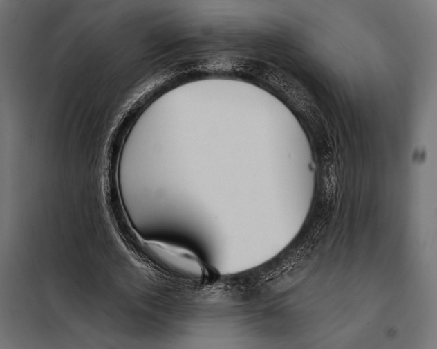 X0000098080728200804251512