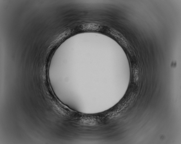 X0000098080729200804251512