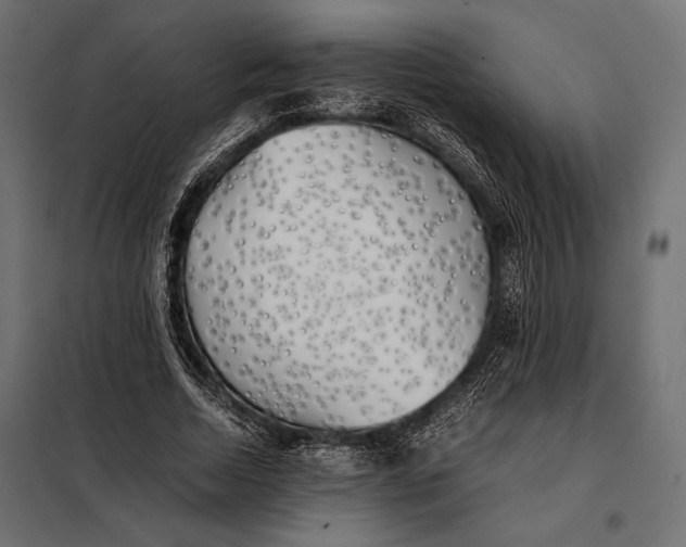 X0000098080730200804251512