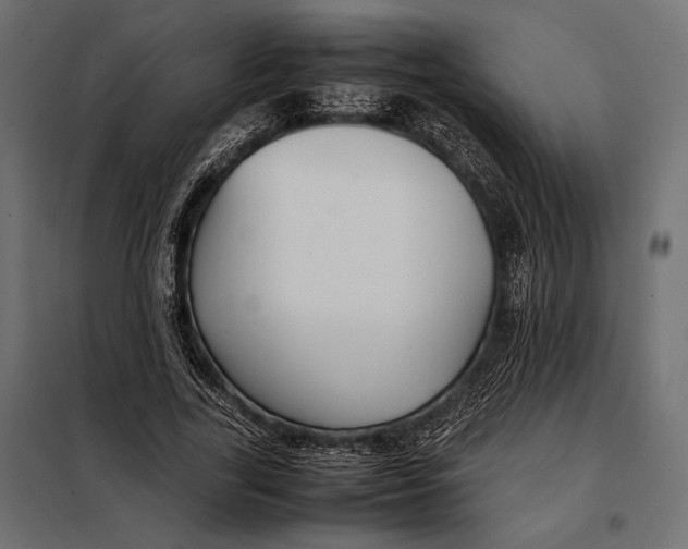 X0000098080731200804251512