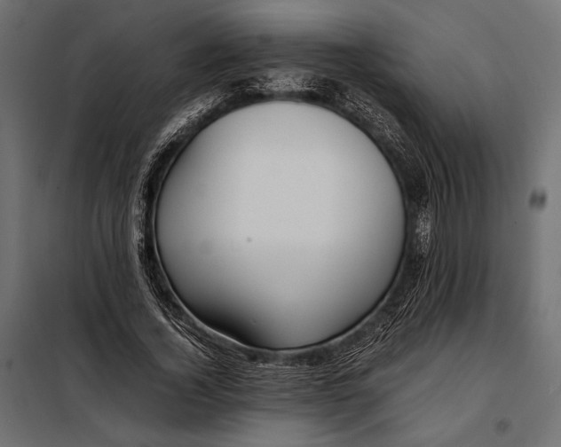 X0000098080732200804251512