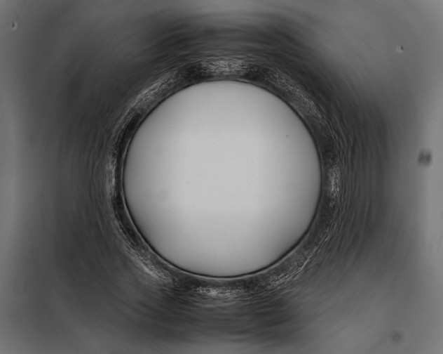 X0000098080733200804251512