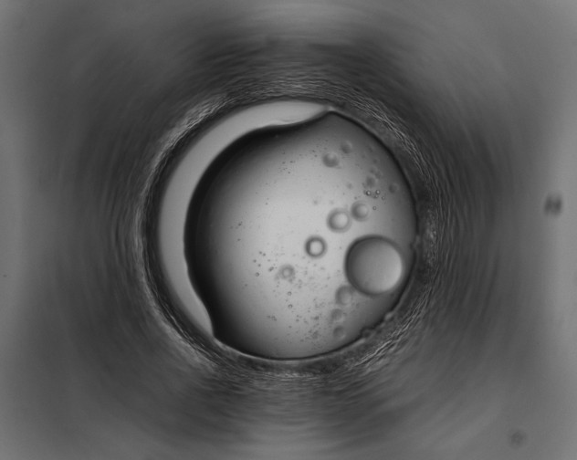 X0000098080734200804251512