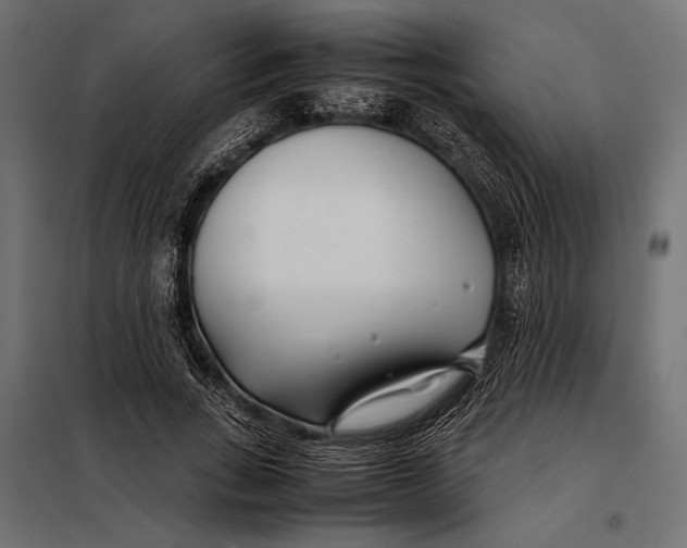 X0000098080735200804251513