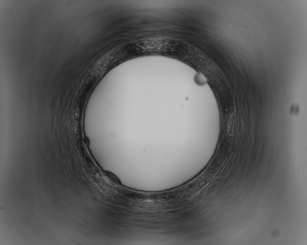 X0000098080737200804251513