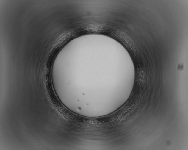 X0000098080738200804251513