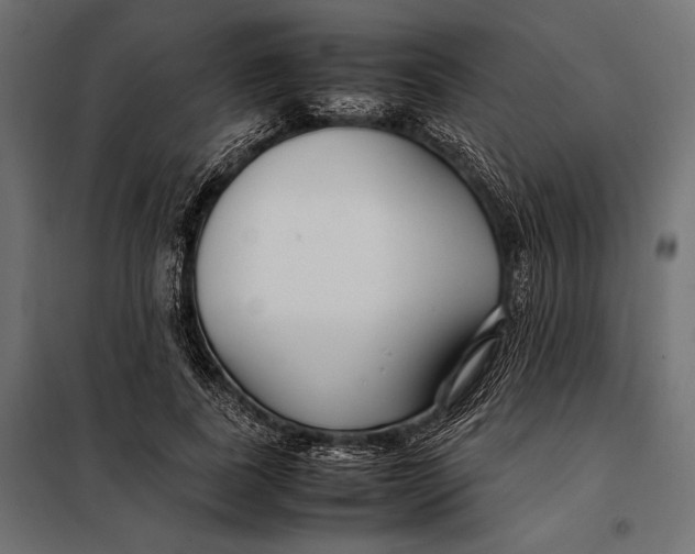 X0000098080739200804251513