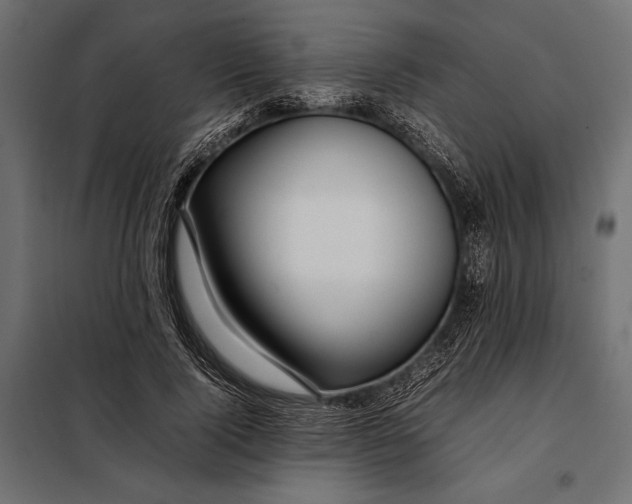 X0000098080740200804251513