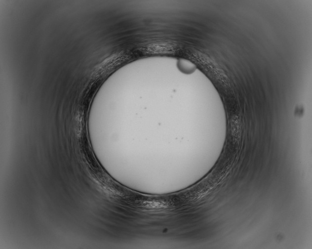 X0000098080741200804251513