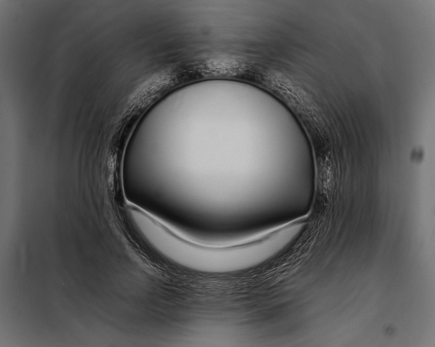 X0000098080742200804251513