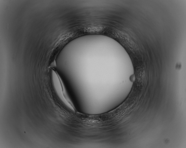 X0000098080743200804251513