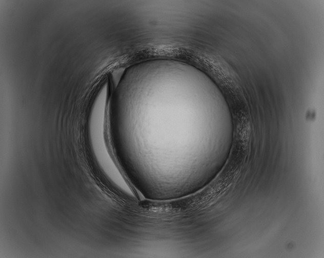 X0000098080744200804251513