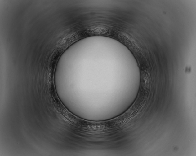 X0000098080745200804251513