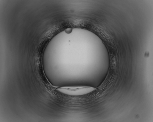 X0000098080746200804251513