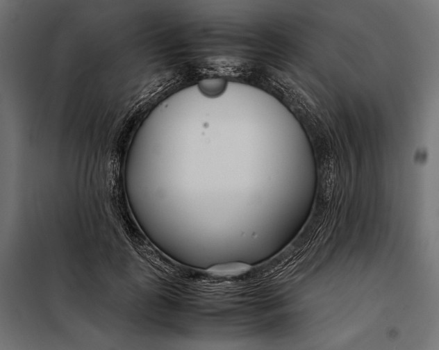 X0000098080747200804251513