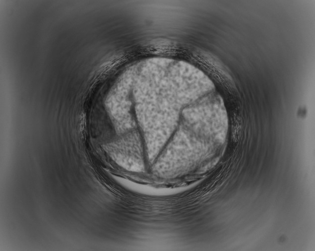 X0000098080748200804251513