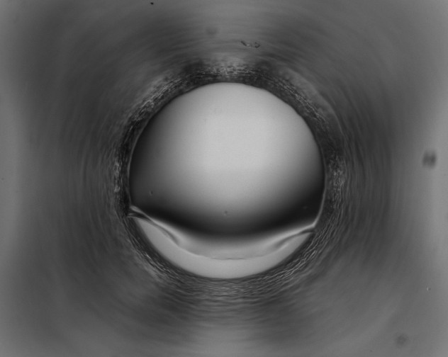 X0000098080750200804251513