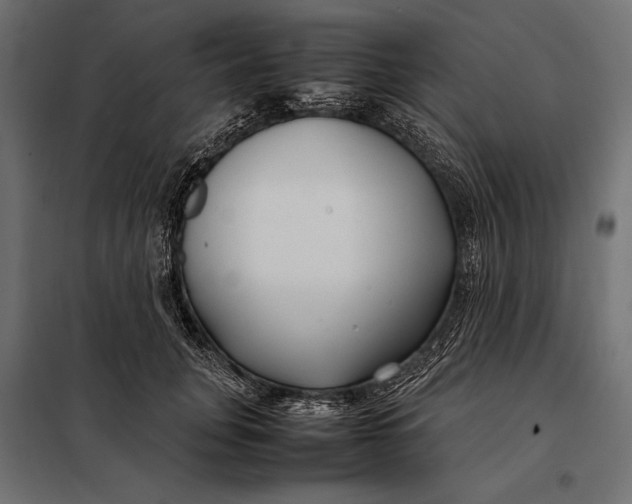 X0000098080751200804251513