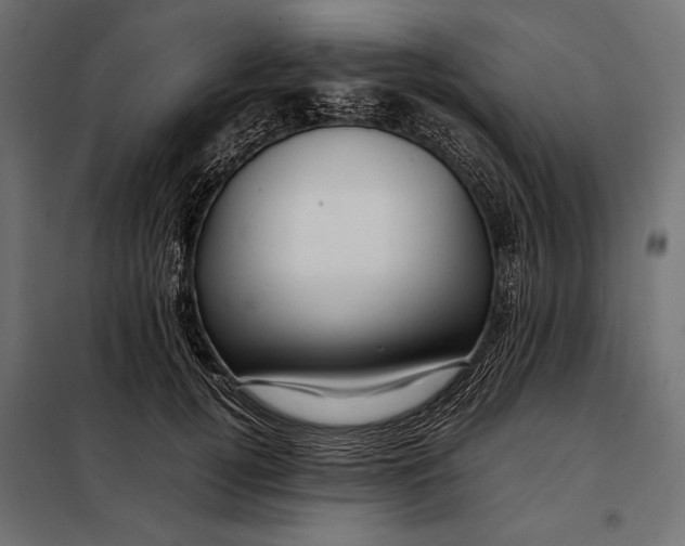 X0000098080752200804251513