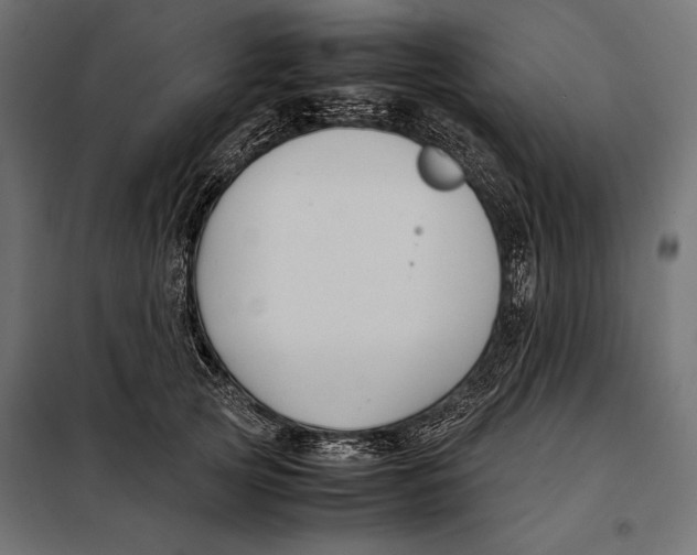 X0000098080753200804251513