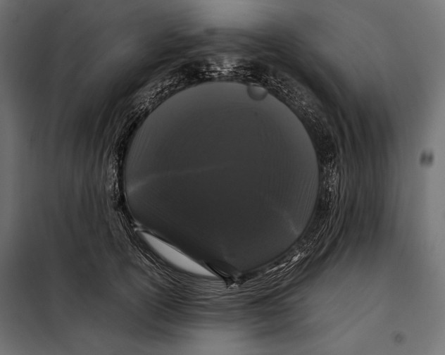 X0000098080754200804251513