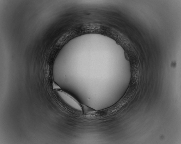 X0000098080758200804251513