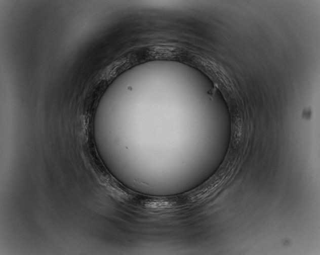 X0000098080759200804251513