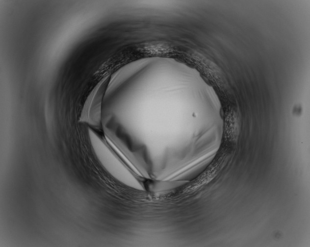 X0000098080762200804251513