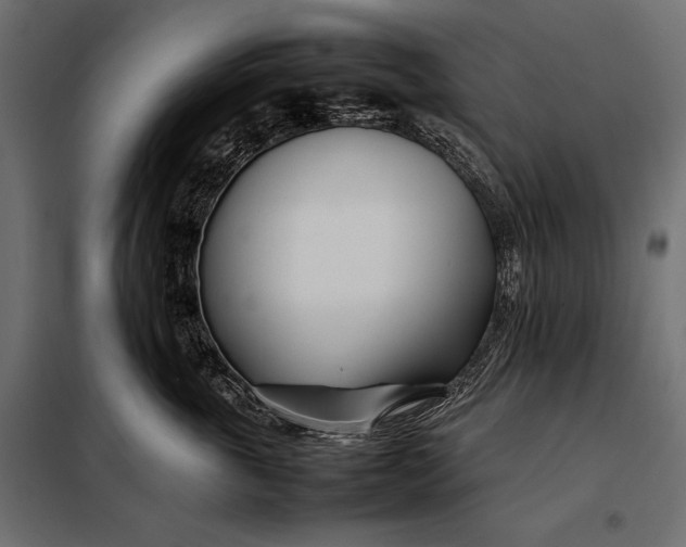 X0000098080763200804251513