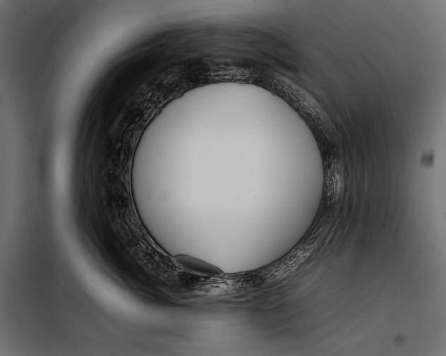 X0000098080764200804251513