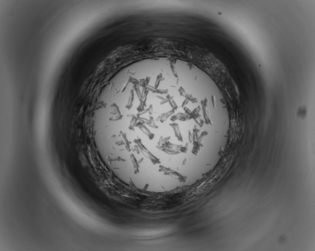 X0000098080765200804251513