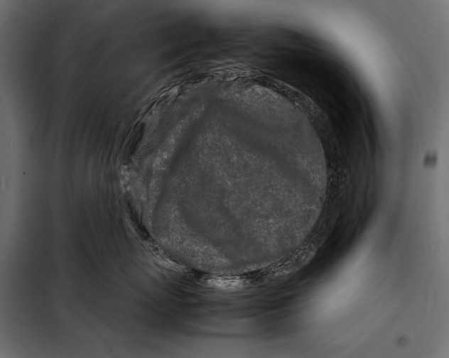 X0000098080767200804251513