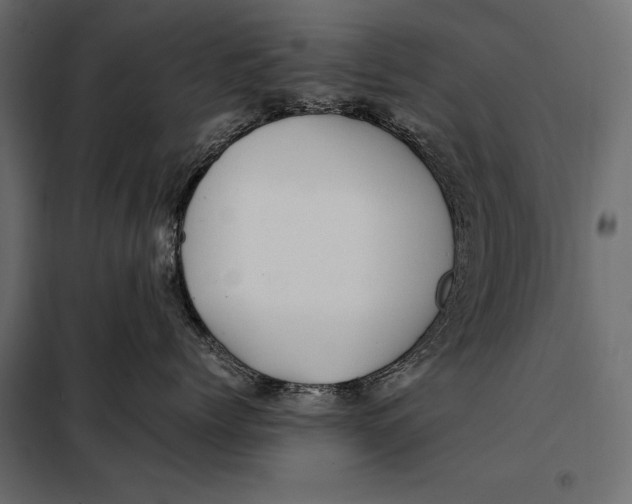 X0000098080768200804251513