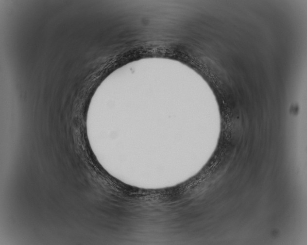 X0000098080769200804251512