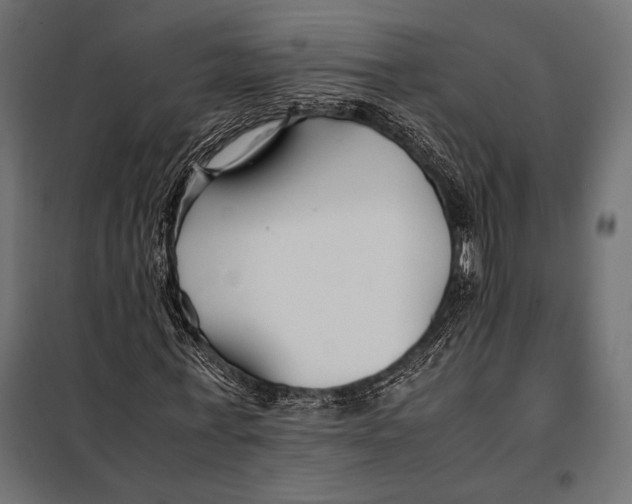 X0000098080771200804251512