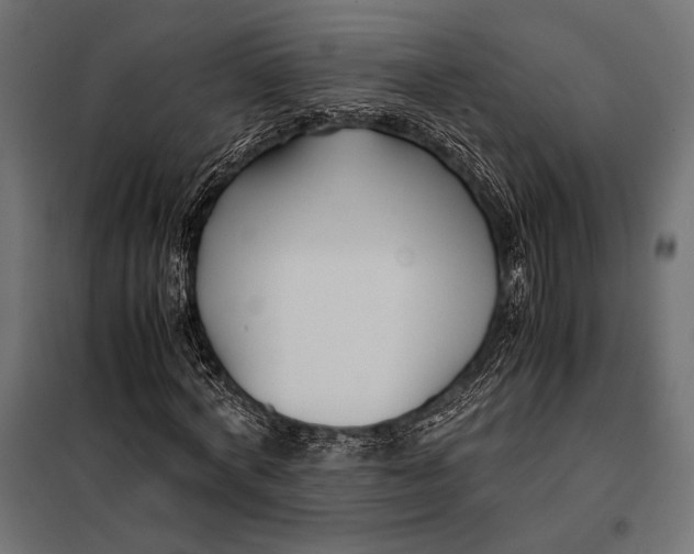 X0000098080772200804251512