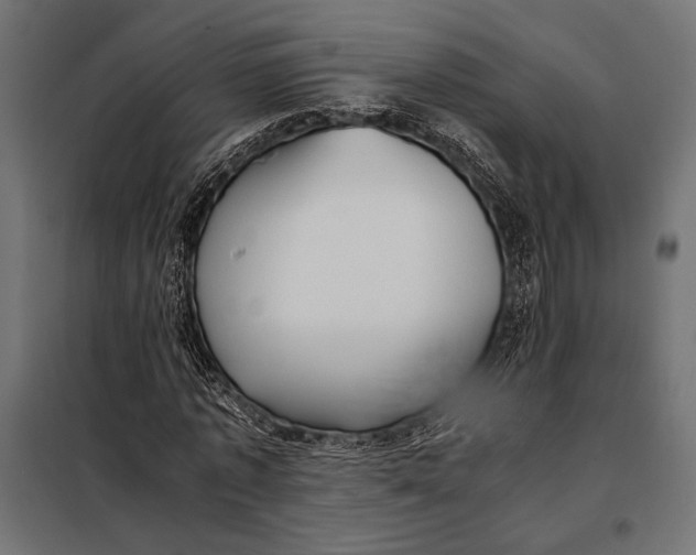 X0000098080773200804251512