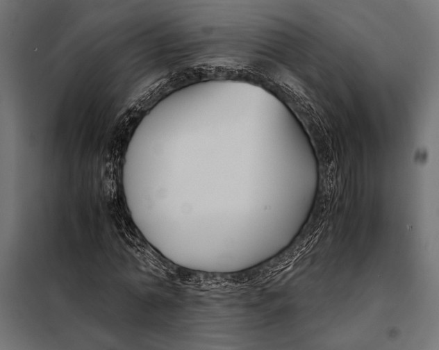 X0000098080774200804251512