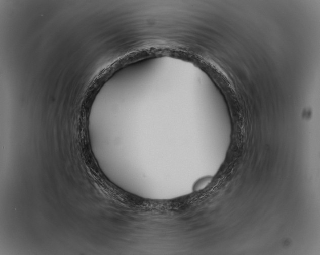 X0000098080775200804251512