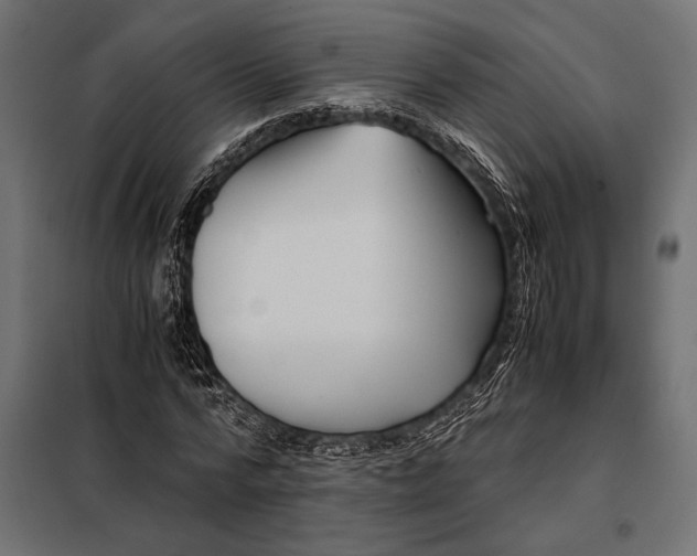 X0000098080776200804251512