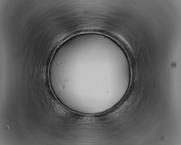 X0000098080777200804251512