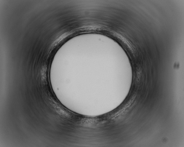 X0000098080778200804251512