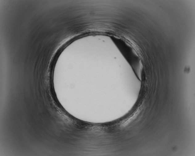 X0000098080779200804251512